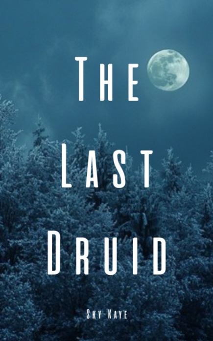 The Last Druid — cover